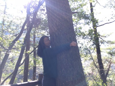 04-引導學員輕擁大樹 ，與大自然對話